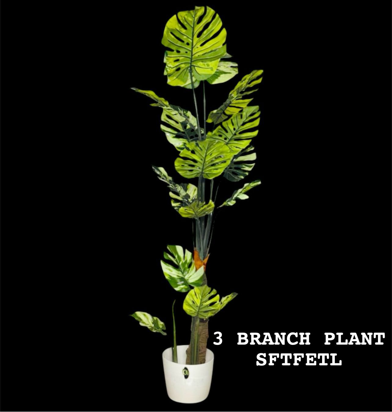 6FT PLANT
