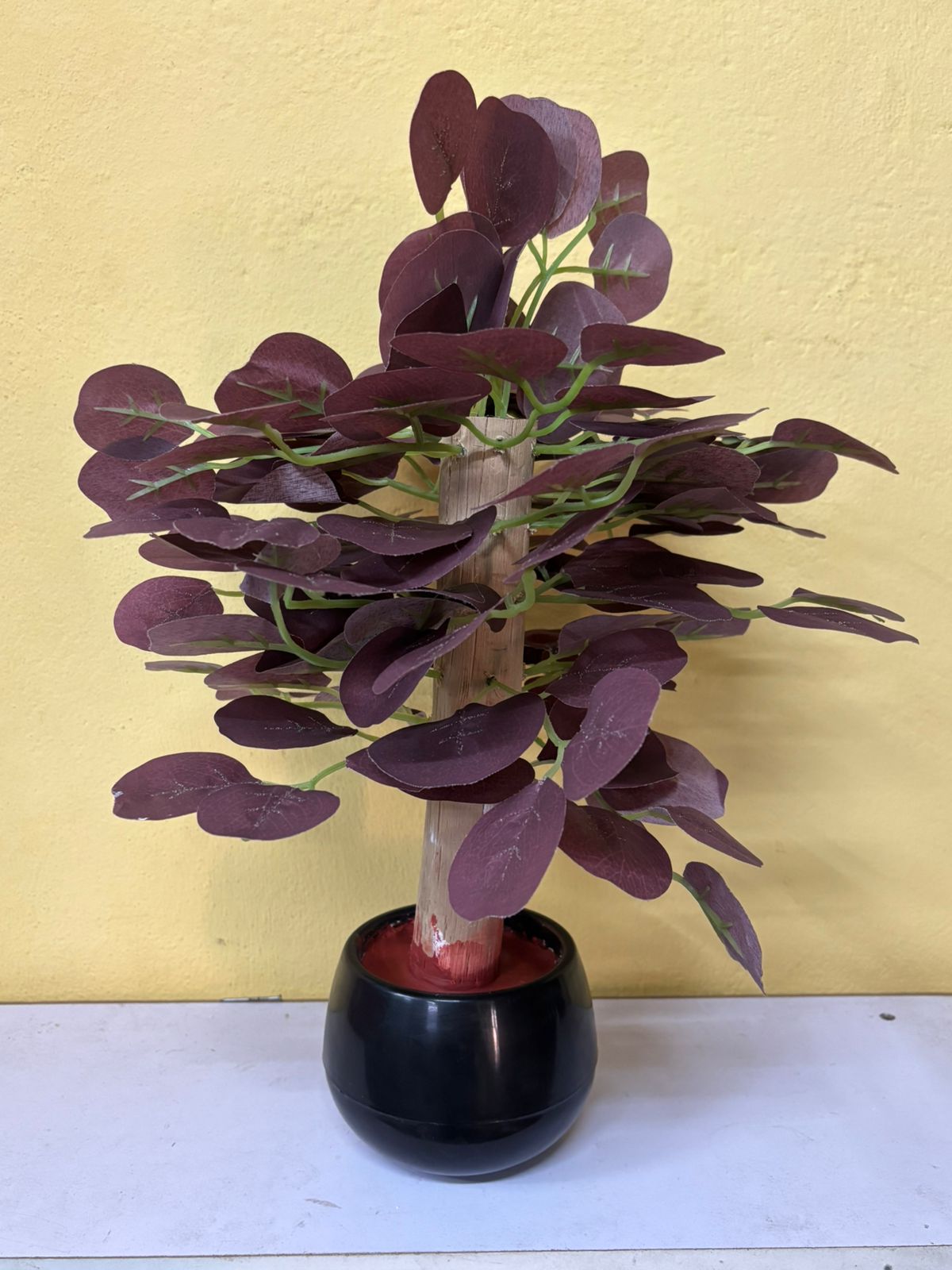 EUCALYPTUS LEAF BONSAI