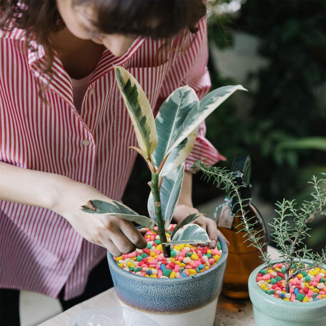 Multicolour Pebbles Stone