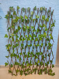 Artificial Expanding Trellis