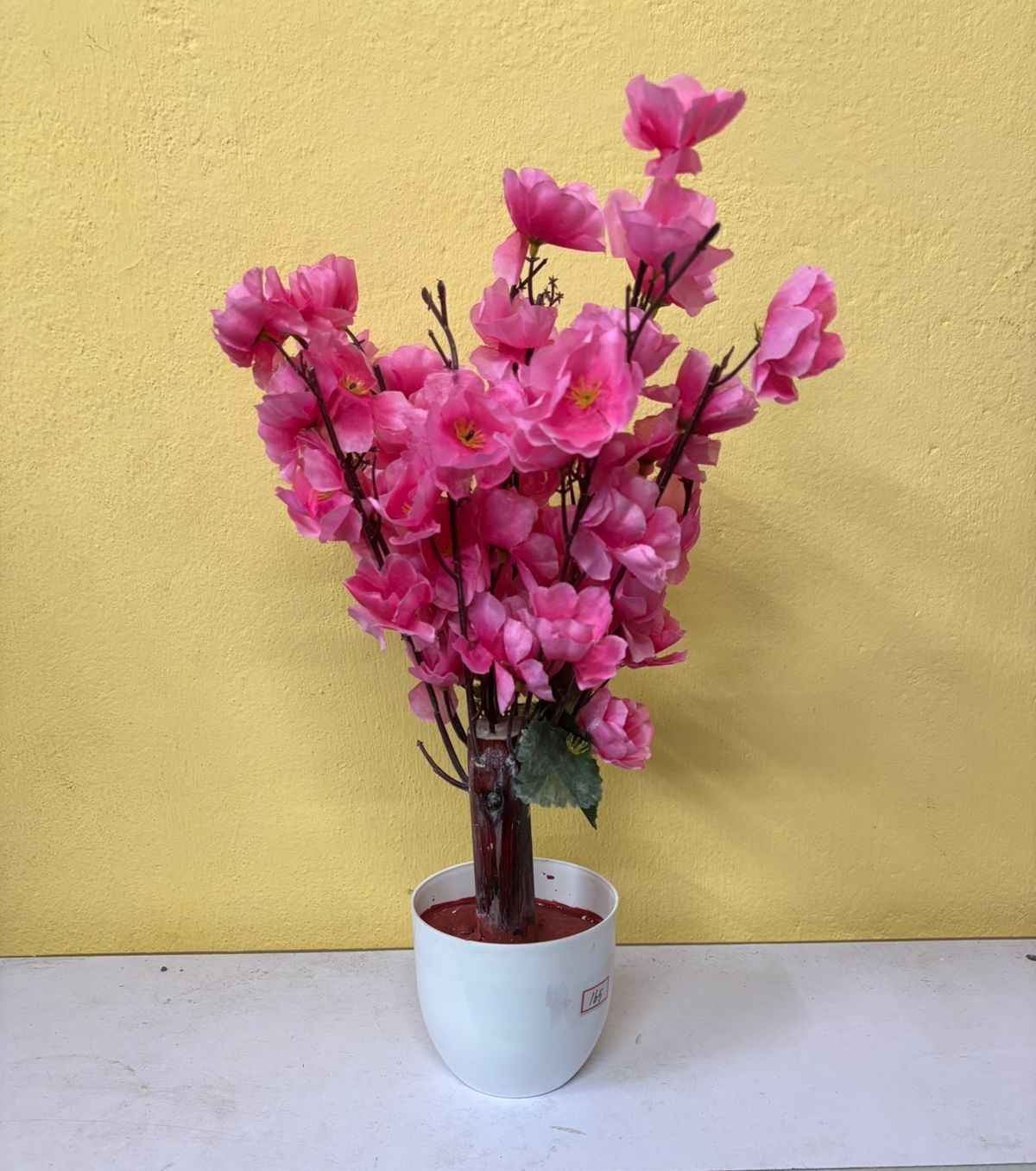 Small Blossom Plant (1ft)