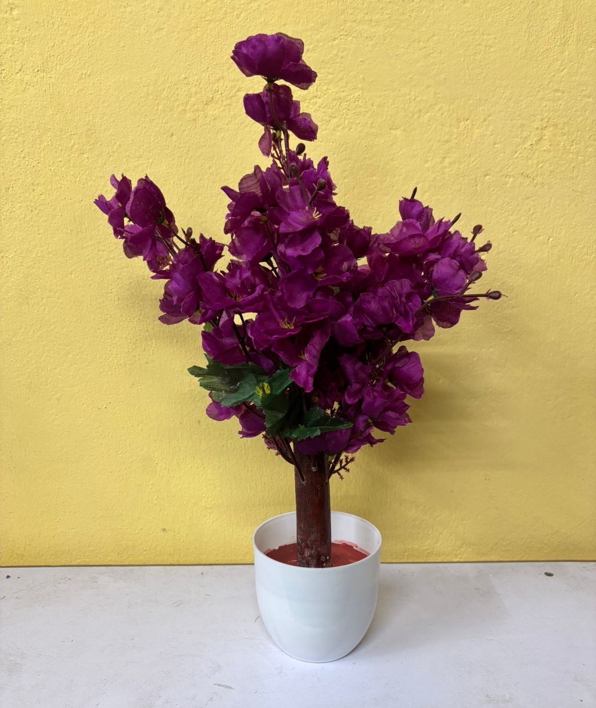 Small Blossom Plant (1ft)