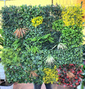 VERTICAL GARDEN